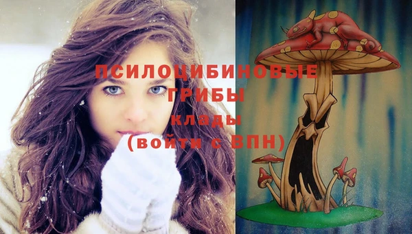 героин Алзамай