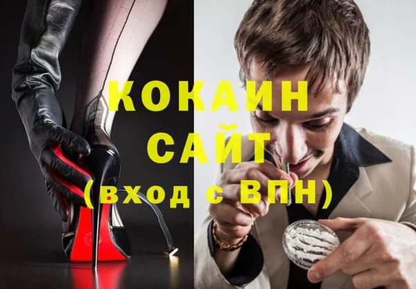 ешки Алексин