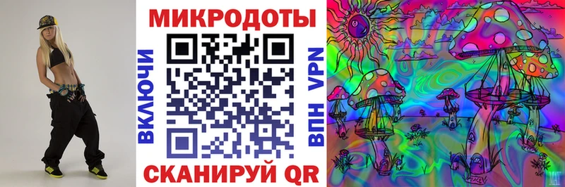 закладка Брянск Псилоцибиновые грибы GOLDEN TEACHER