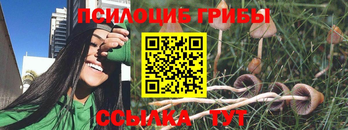 купить наркоту  Галлюциногенные грибы мицелий  Вход с VPN  Брянск 