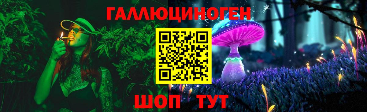 Псилоцибиновые грибы мухоморы Брянск
